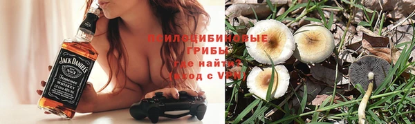 jwh Аркадак